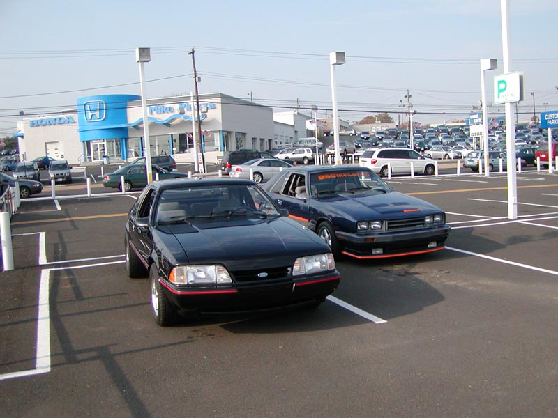 image pb020008-jpg