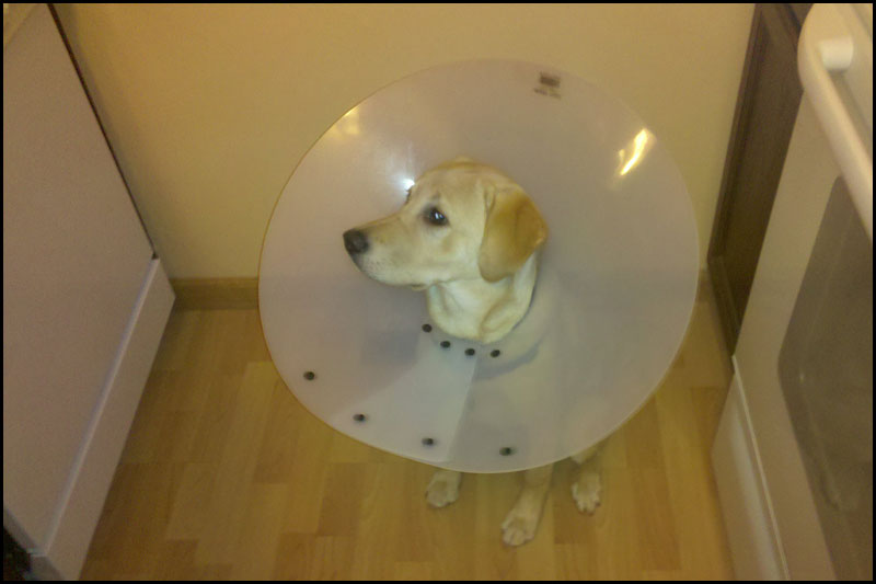 image dome2-jpg
