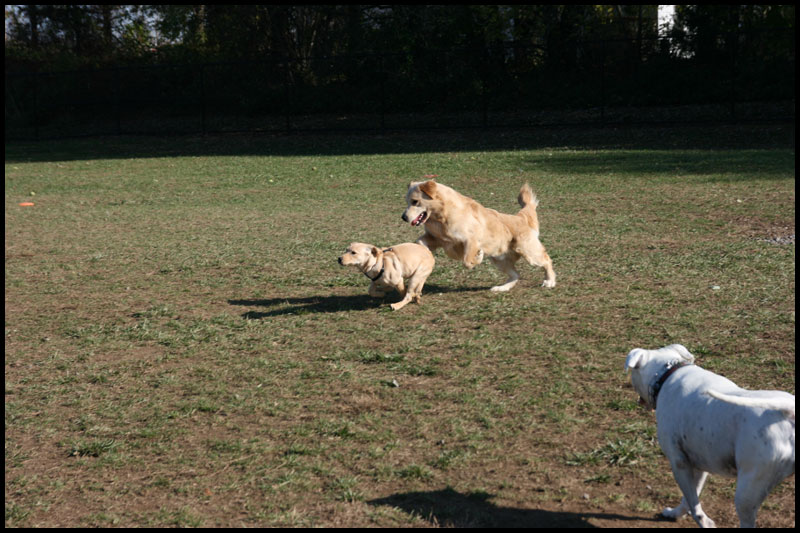 image img_2620-jpg