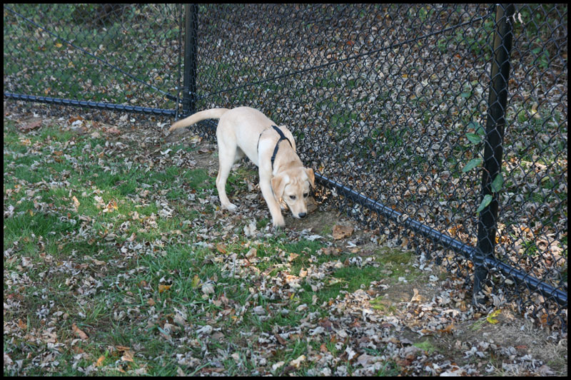 image img_2652-jpg