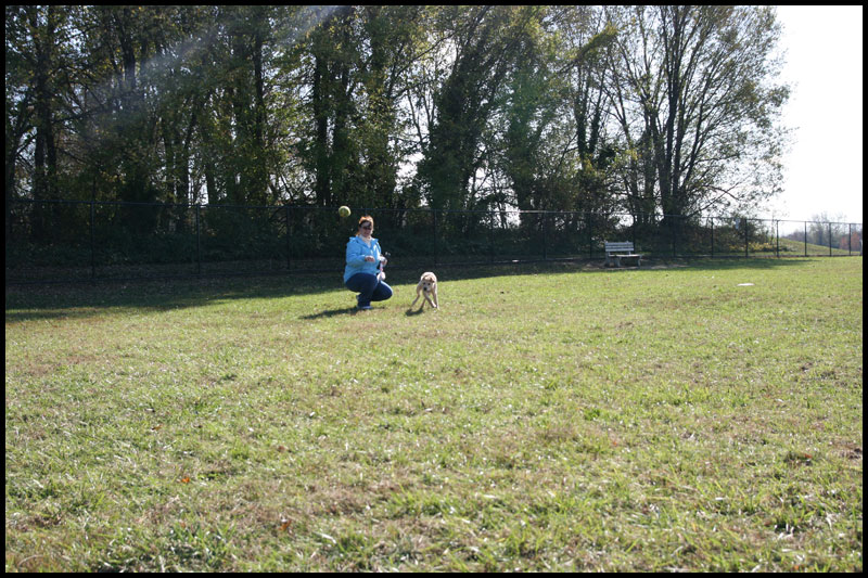 image img_2659-jpg