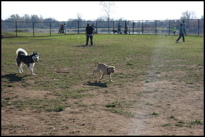 image img_2825-jpg