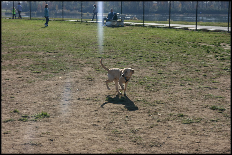 image img_2827-jpg