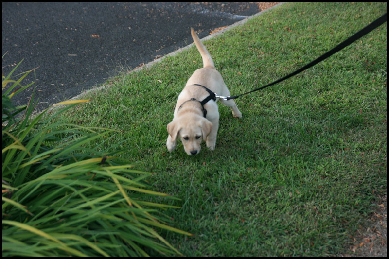 image img_2022-jpg