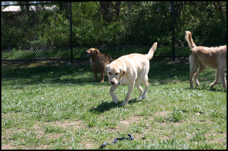 image img_4431-jpg