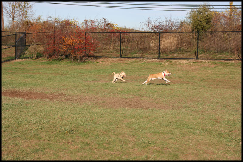 image img_2989-jpg