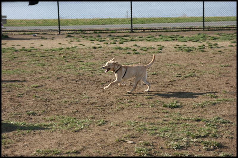 image img_3029-jpg