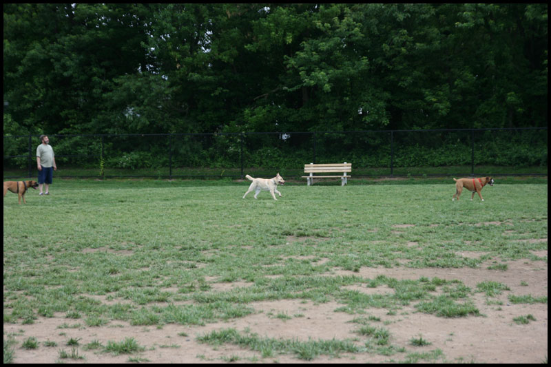 DogPark5-23-10