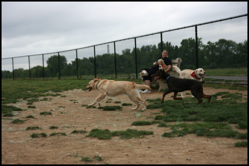 DogPark5-23-10