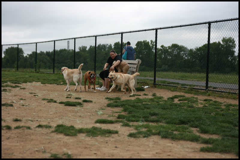 DogPark5-23-10