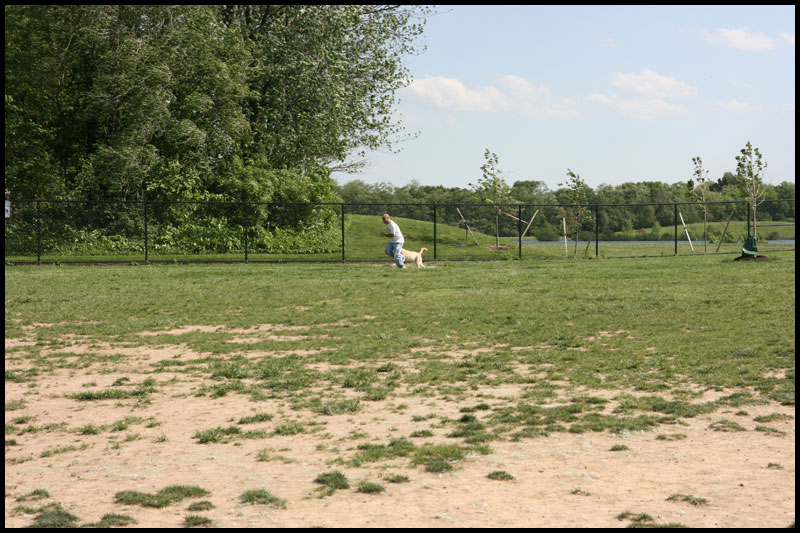 image img_4545-jpg