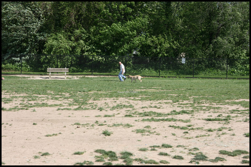 DogPark5-8-10