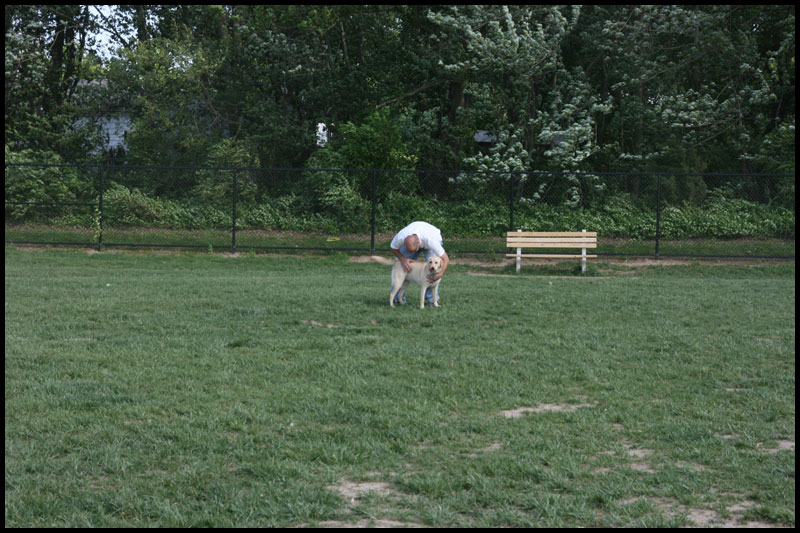 DogPark5-8-10