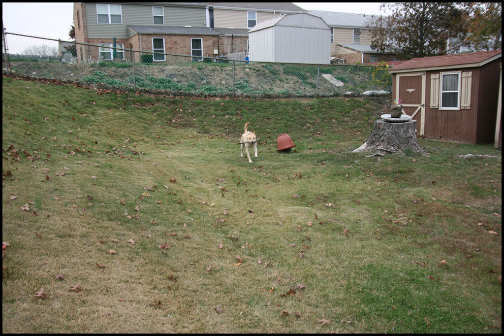 november-2010