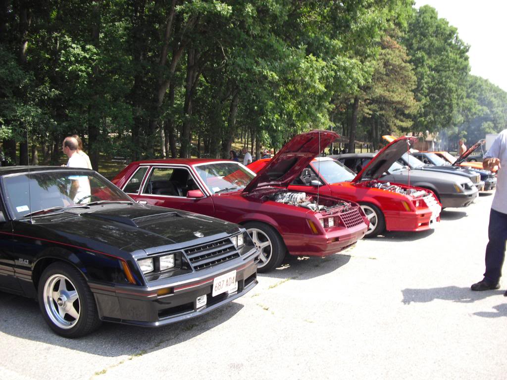 Mike's Pics (escogt)