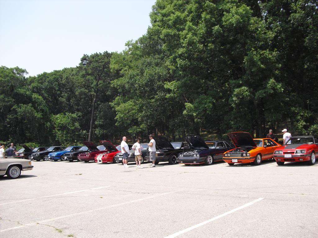 image fox-a-que2010027-jpg