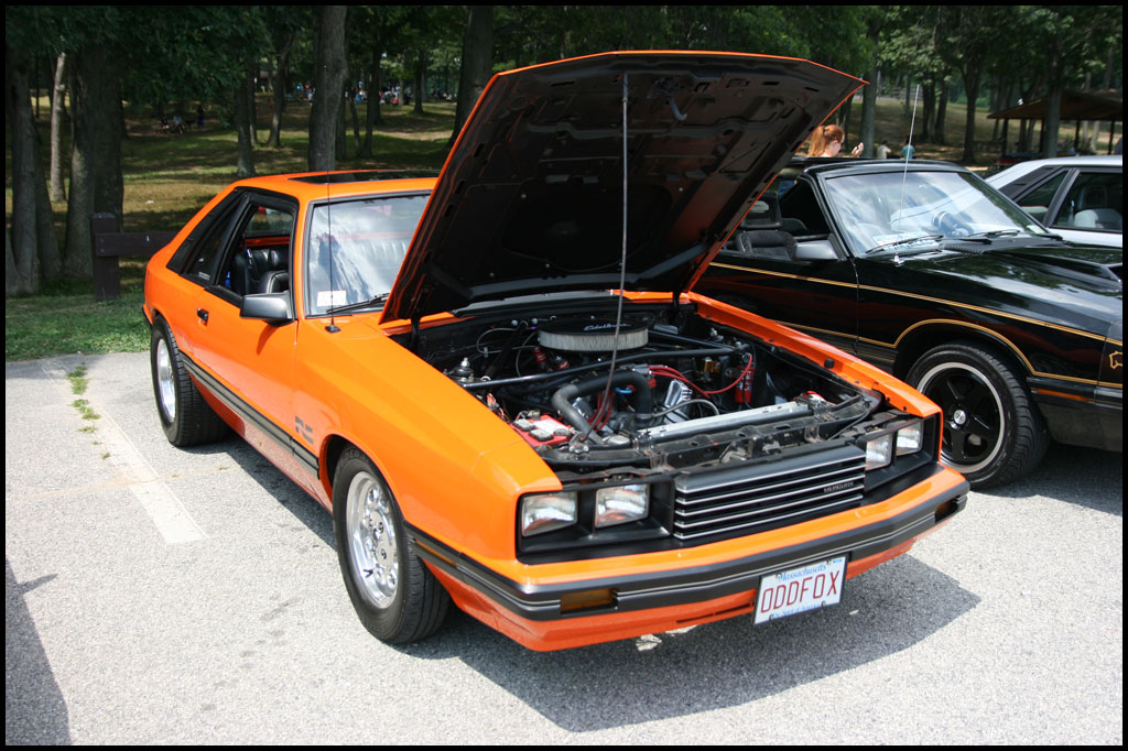 My Pics (n20capri)