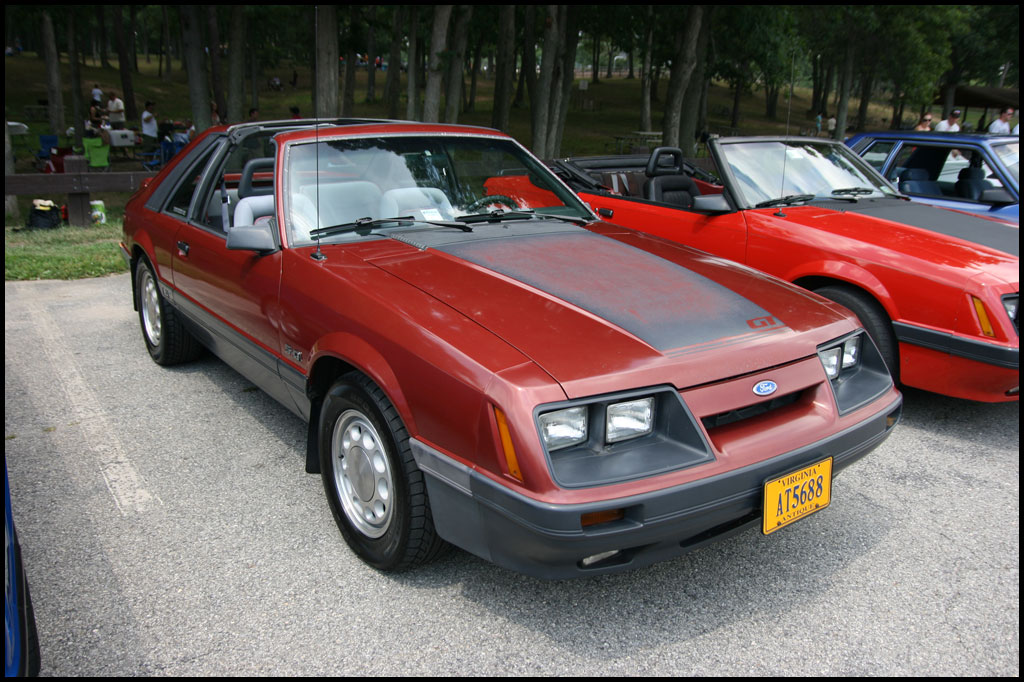 My Pics (n20capri)