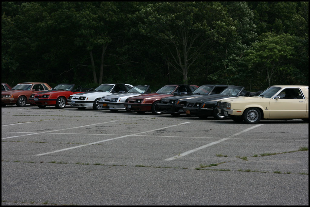 image img_2991-jpg