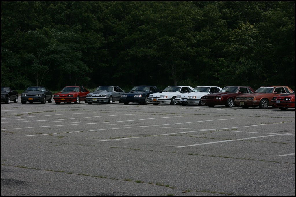 image img_2994-jpg