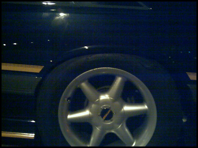 Rear Lower Control Arm