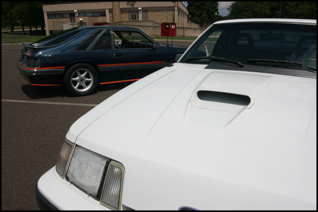 86 Capri and 86 Mustang SVO