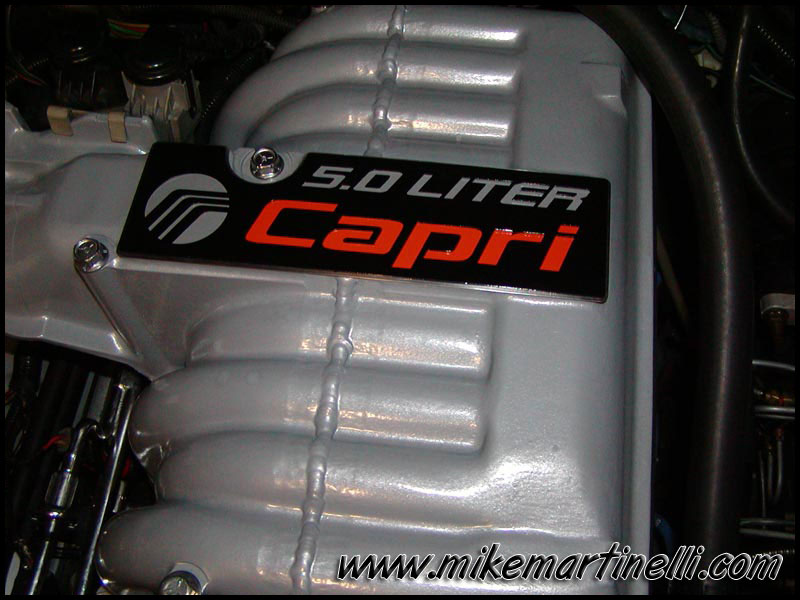 Custom Cobra Intake Plate