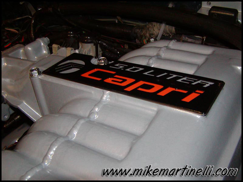 Custom Cobra Intake Plate