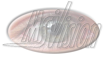 image msivision-jpg
