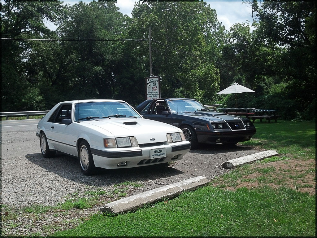 image 86svo-84mustanggt-jpg