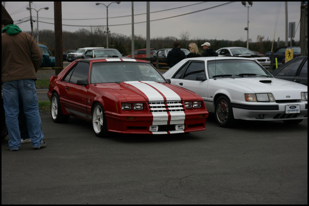 Friends-Cruise-Pics