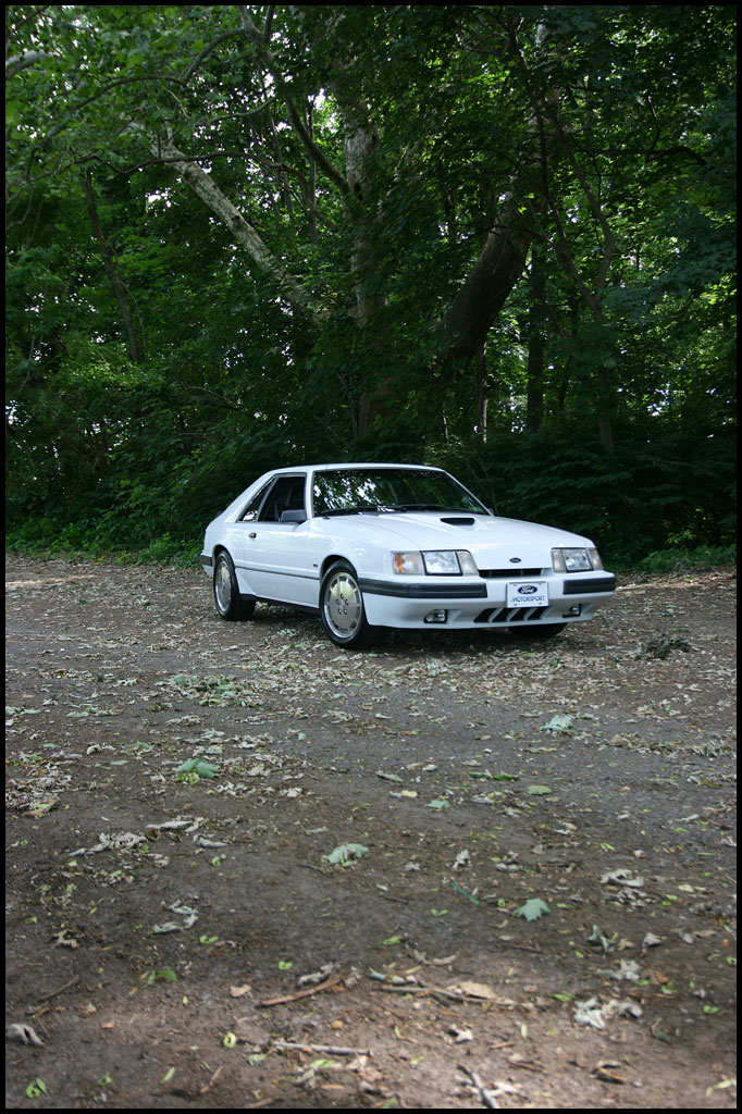 image 1986-mustang-svo-img_8541-jpg