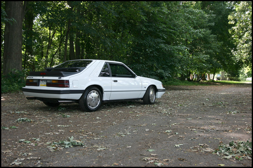 svo-lowered-spring-2011