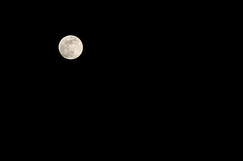 image moon1-21-08-jpg
