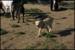 IMG_2831.jpg