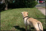 IMG_2450.jpg