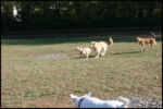 IMG_2618.jpg