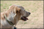 IMG_3781.jpg