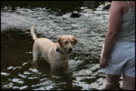 IMG_4851.jpg
