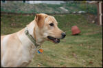 IMG_7272.jpg