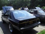 Fox-a-Que2010049.jpg