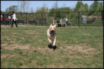 IMG_4421.jpg