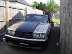Fox-a-Que2010002.jpg