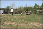 IMG_4417.jpg