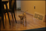 IMG_1570.jpg