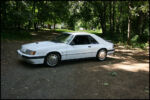 1986-mustang-svo-img_8565.jpg