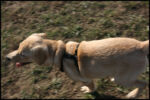 IMG_2792.jpg