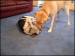 DSCN2461.jpg