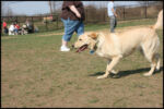 IMG_3848.jpg