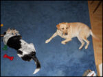 DSCN2521.jpg